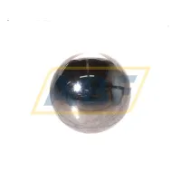 Подшипник RB18MM/G100/SS420 AKN
